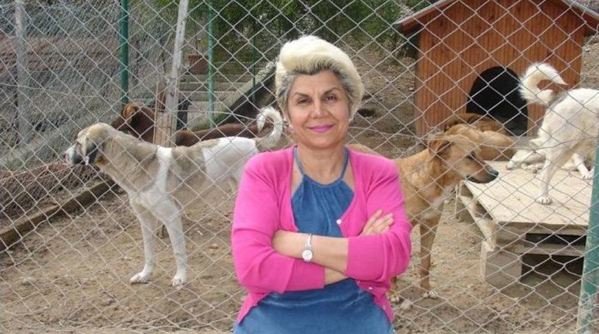 "kutlama Yaparken Sokak Hayvanlarını Da D&uuml;ş&uuml;n&uuml;n"