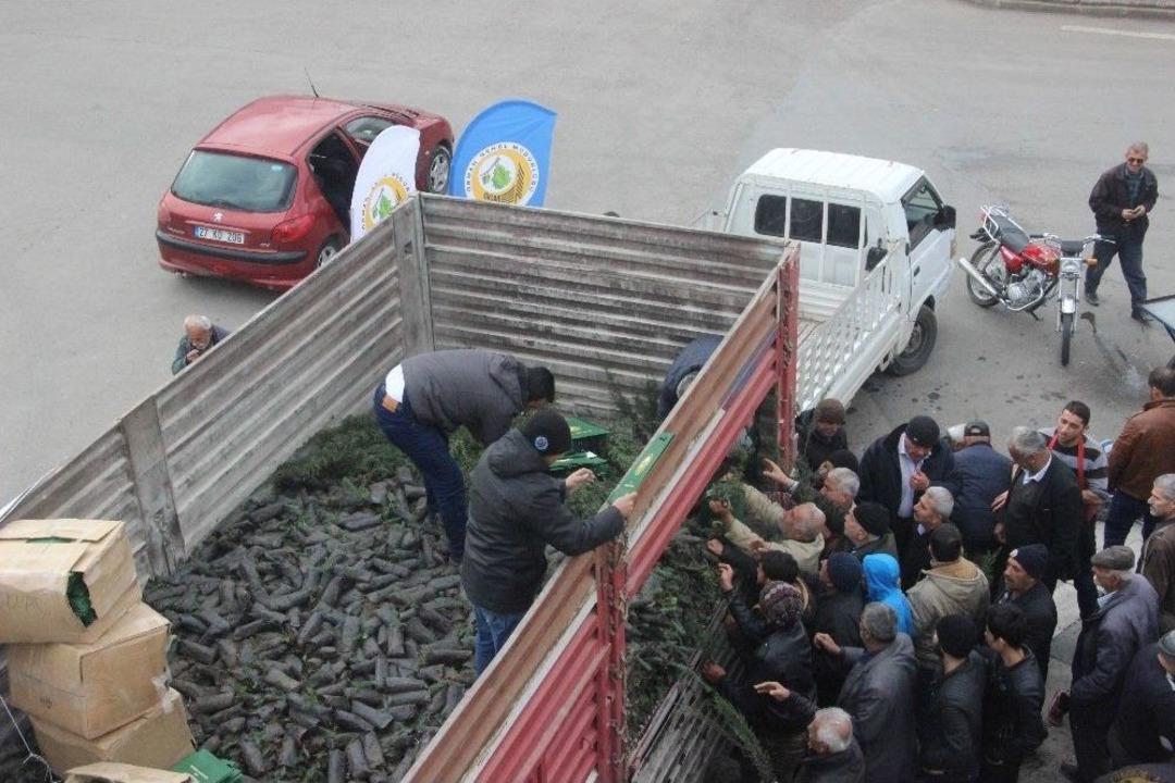 Kilis&rsquo;te &rsquo;yıl Başında Ağa&ccedil; Kesme Fidan Dik&rsquo; Kampanyası