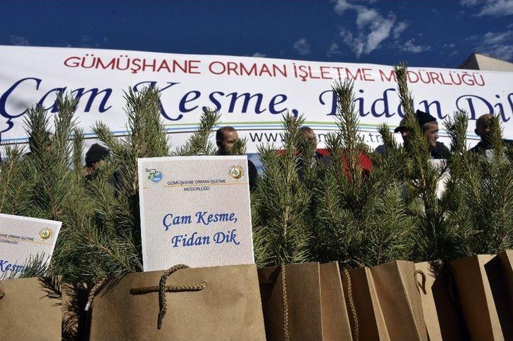 Gümüşhane’de ‘çam Kesme, Fidan Dik’ Sloganıyla Vatandaşlara Çam Fidanı Dağıtıldı G1