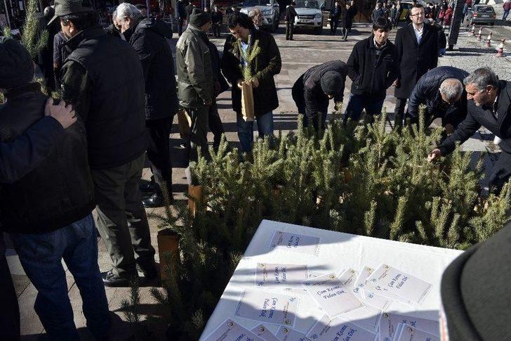 Gümüşhane’de ‘çam Kesme, Fidan Dik’ Sloganıyla Vatandaşlara Çam Fidanı Dağıtıldı G4