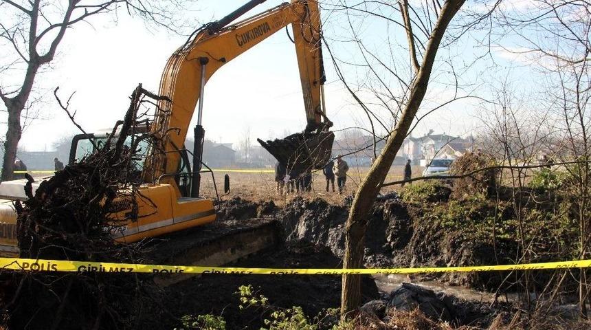 D&uuml;zce&rsquo;de Define Arıyorlar