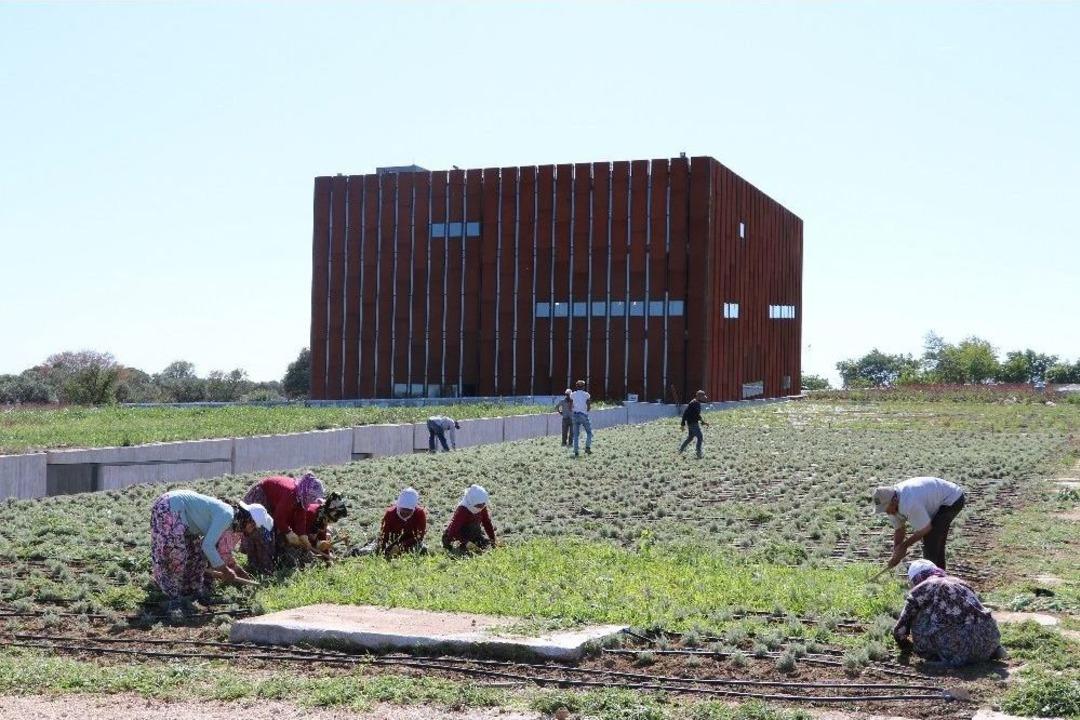 (&ouml;zel Haber) Troya Hazinelerini Bekliyor
