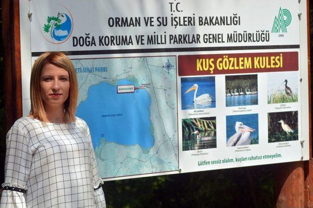 (özel Haber) 300’den Fazla Pelikan Bir Araya Geldi