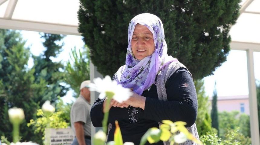 Şehidin Annesi Oğlunun Mezarını Eliyle Temizledi