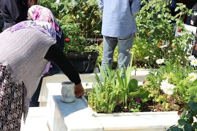 Şehidin Annesi Oğlunun Mezarını Eliyle Temizledi