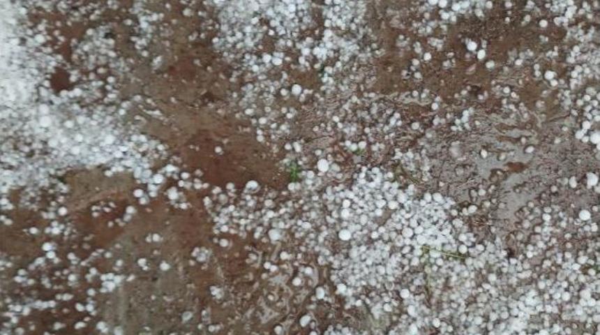 Siverek&rsquo;te Ekili Tarlaları Dolu Vurdu