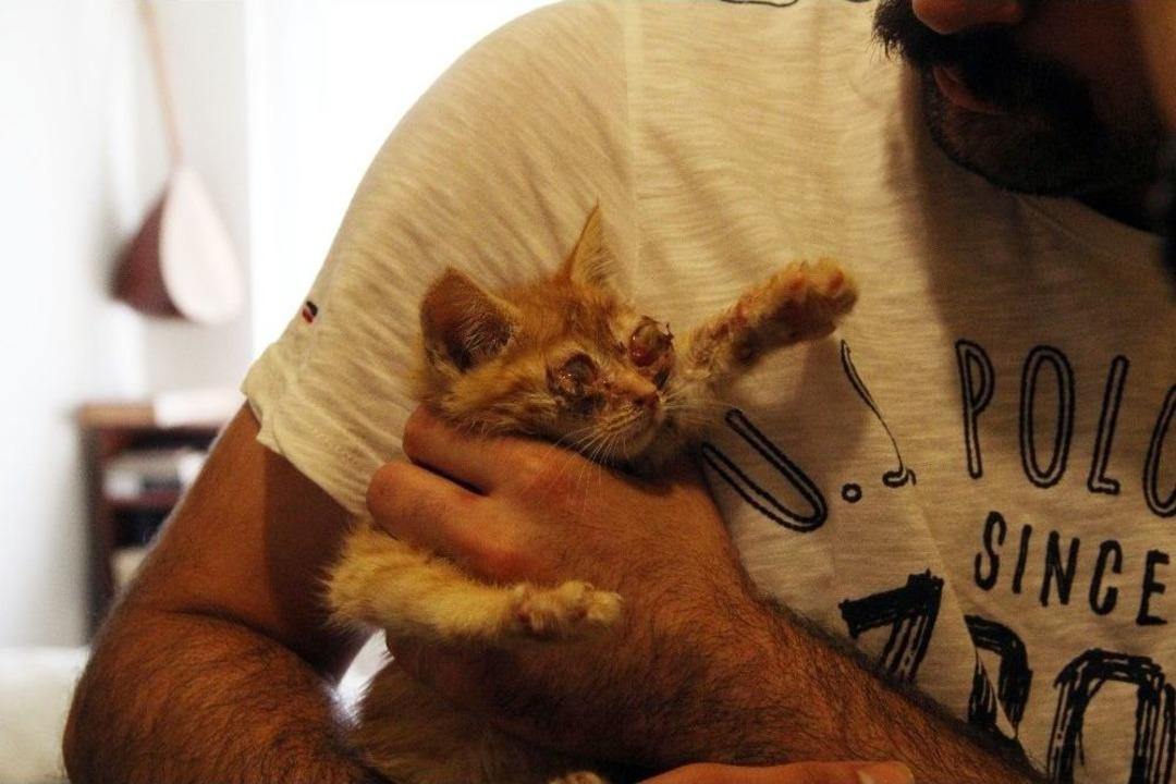 (&ouml;zel Haber) Yavru Kedilere G&ouml;z&uuml; Gibi Bakıyor