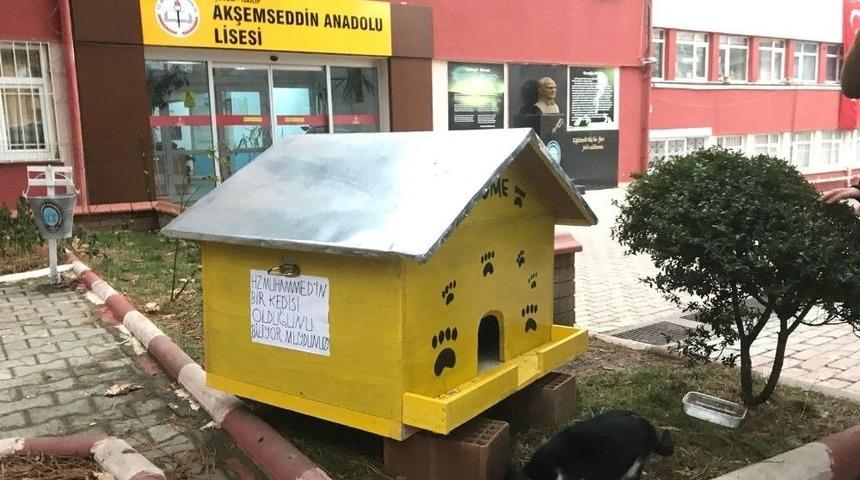 Öğrencilerden Sokak Kedilerine Sıcak Yuva