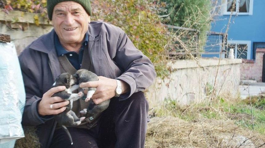 O Hayvanları, Hayvanlar Onu Seviyor