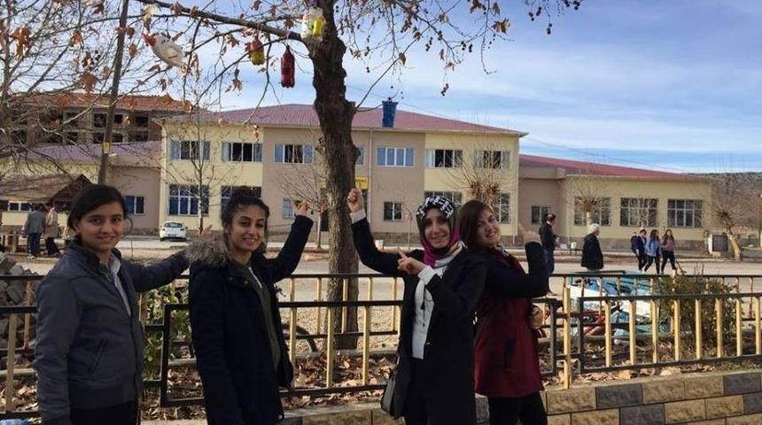 &Ouml;ğrenciler Ağa&ccedil;lara Kuş Yuvası Bıraktı