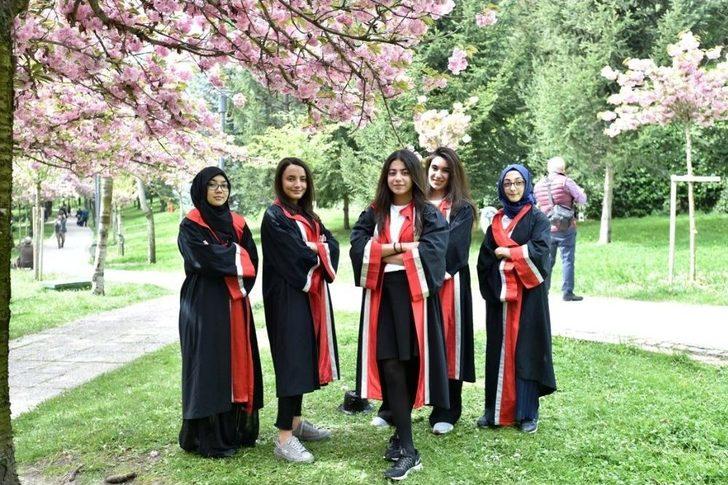 Dikmen Vadisi’nde Japon Kiraz Ağaçları Görsel Şölen Sunuyor G4