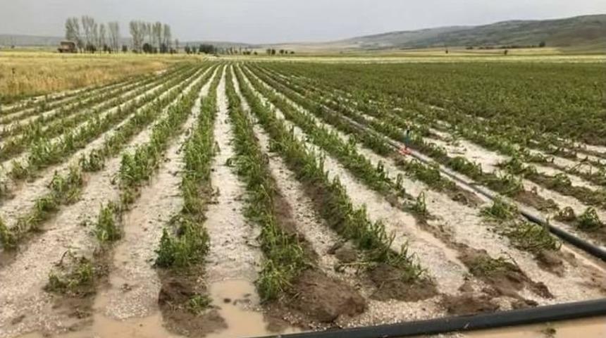 Tarlaları Ve Evleri Su Bastı