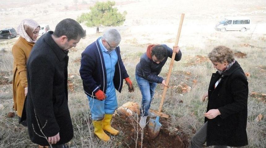&Ouml;nce Cezaevlerini Denetliyor Sonra Da Ağa&ccedil; Dikiyor