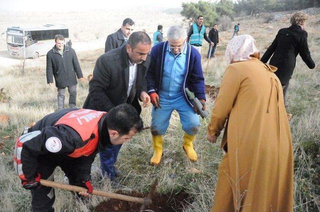 Önce Cezaevlerini Denetliyor Sonra Da Ağaç Dikiyor