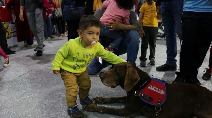 Jandarma K&ouml;peği Vaka, &Ccedil;ocukların İlgi Odağı Oldu
