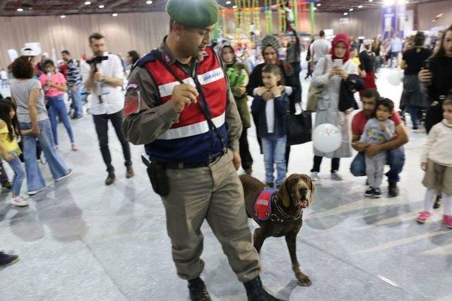 Jandarma Köpeği Vaka, Çocukların İlgi Odağı Oldu