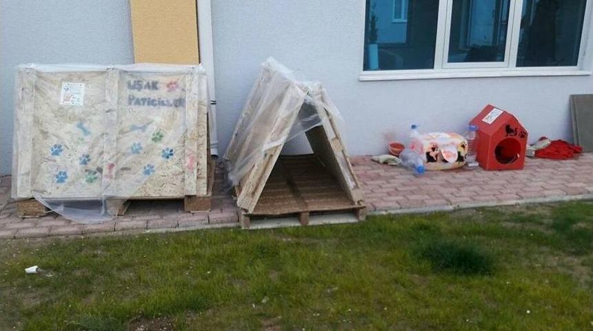 Sıcak Kalpli Gen&ccedil;ler Uşak&rsquo;ın Soğuğunda Sokak Hayvanları Unutmadı