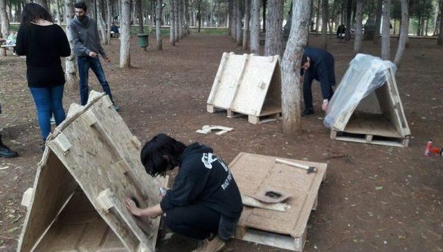 Sıcak Kalpli Gençler Uşak’ın Soğuğunda Sokak Hayvanları Unutmadı