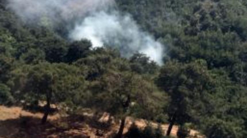 İzmir&rsquo;de Orman Yangını