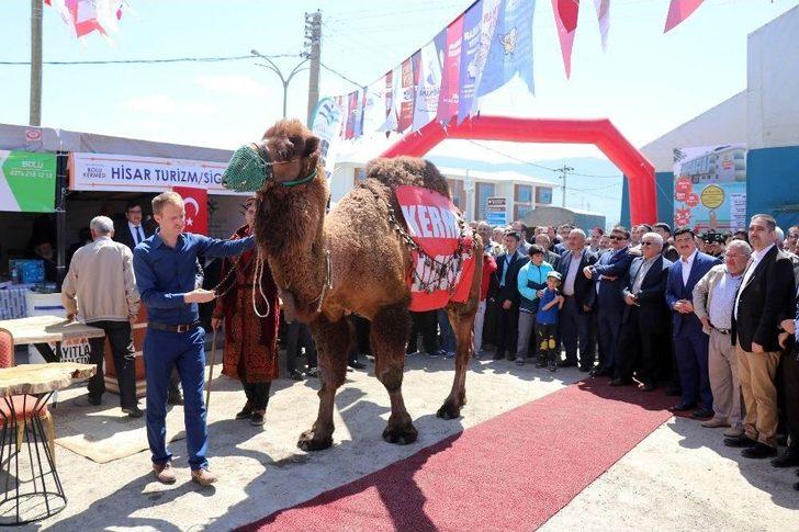 Açık Artırmaya Çıkarılan Deve 60 Bin Liraya Satıldı G1