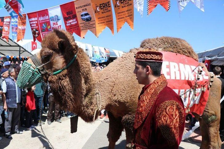 Açık Artırmaya Çıkarılan Deve 60 Bin Liraya Satıldı G4