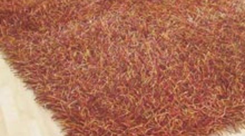 The Woo Renkli 2011 Halıları