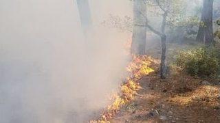 Sütçüler’deki Yangında 3 Hektar Ormanlık Alan Zarar Gördü