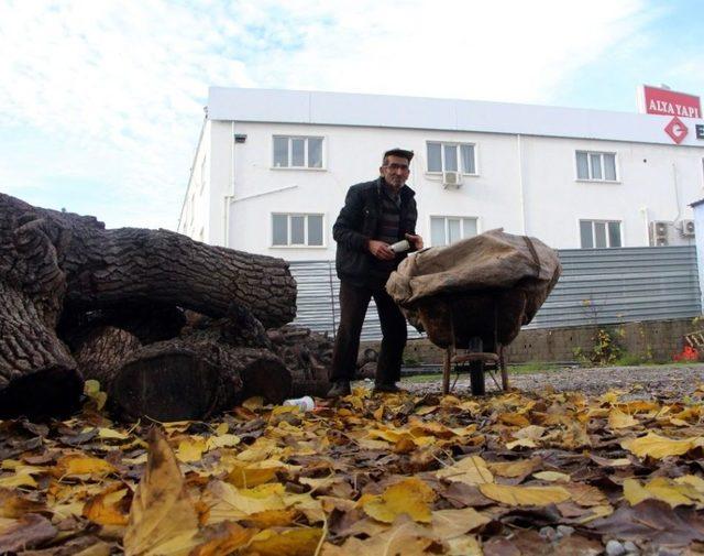 &Ccedil;&ouml;p Arabası İle G&uuml;nde 50 Kilometre Y&uuml;r&uuml;yerek 3 &Ccedil;ocuk Okutuyor 2