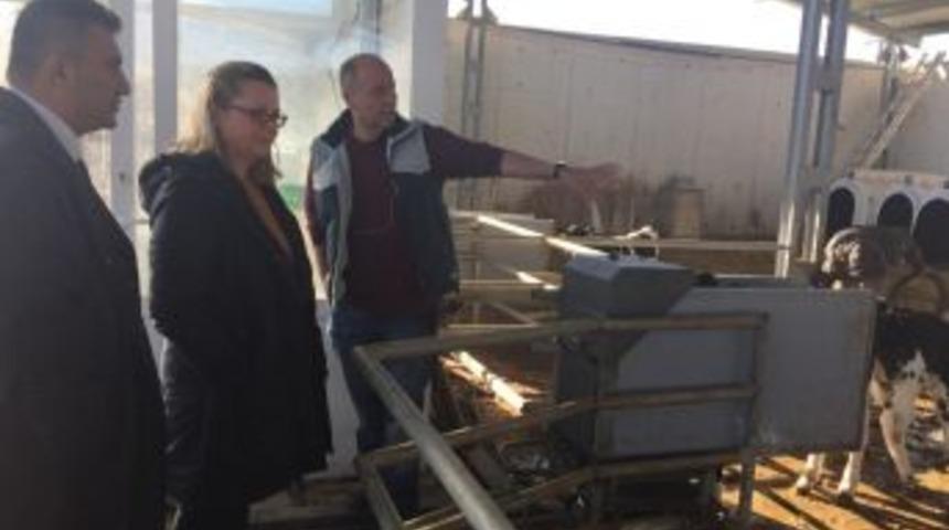 Ab Onaylı S&uuml;t &Ccedil;iftliği Denetimleri