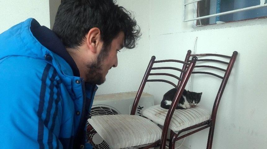 Hayvansever Öğrenci Minik Yavruyu Kurtardı