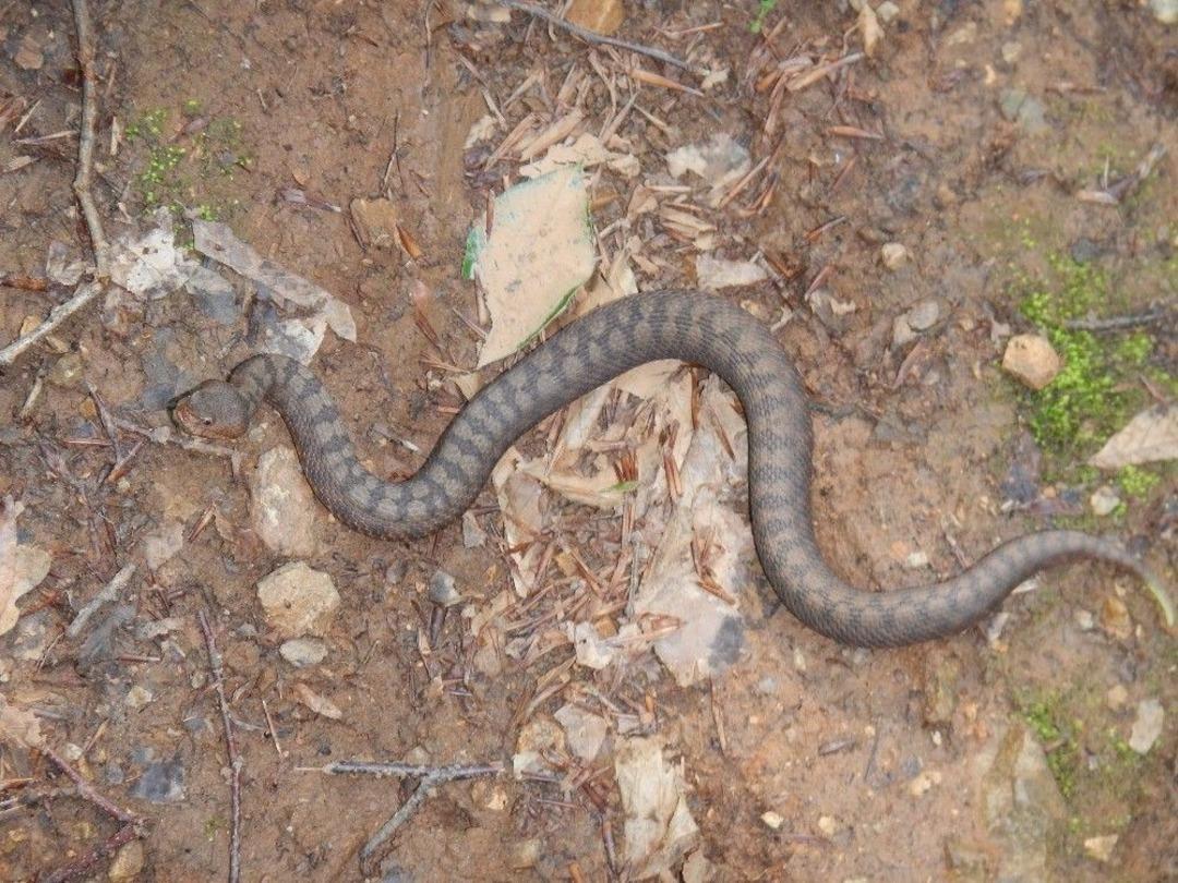 İznik&rsquo;in Samanlı Dağları Doğa Laboratuarı Gibi