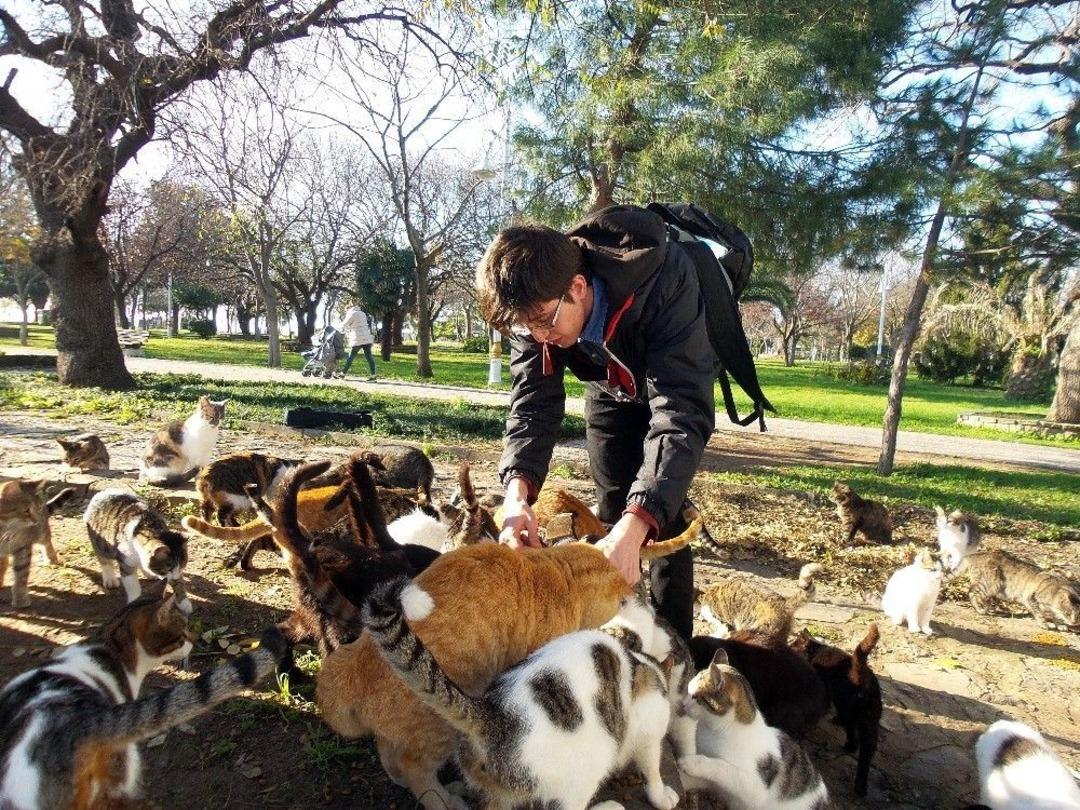 (&ouml;zel) &Uuml;niversiteli Gen&ccedil; Telefonunu Satıp Sokak Hayvanlarına Mama Aldı