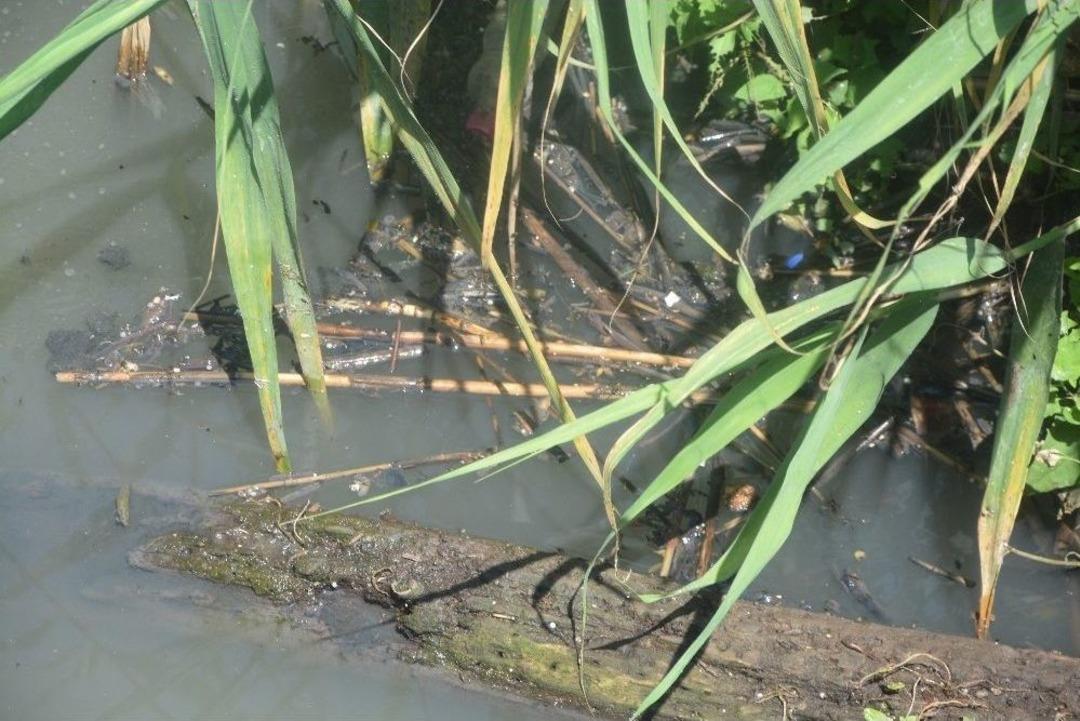 (&ouml;zel Haber) Bağlar Deresi, Vatandaş İle Organize Sanayiin Arasını A&ccedil;tı