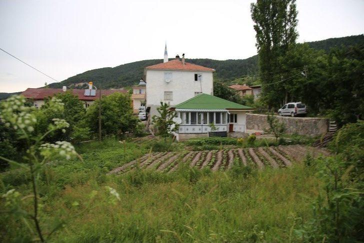 Yere İzmarit, Çöp Atana Çalışma Cezası G4