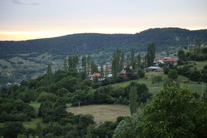 Yere İzmarit, Çöp Atana Çalışma Cezası G5