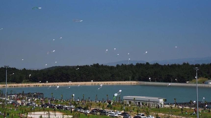 Kemalpaşa&rsquo;da U&ccedil;urtma Şenliği