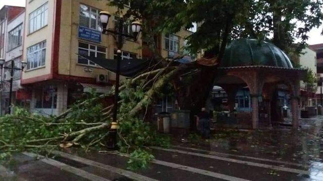 Erbaa’da Sağanak Yağış Ve Fırtına Maddi Hasara Neden Oldu