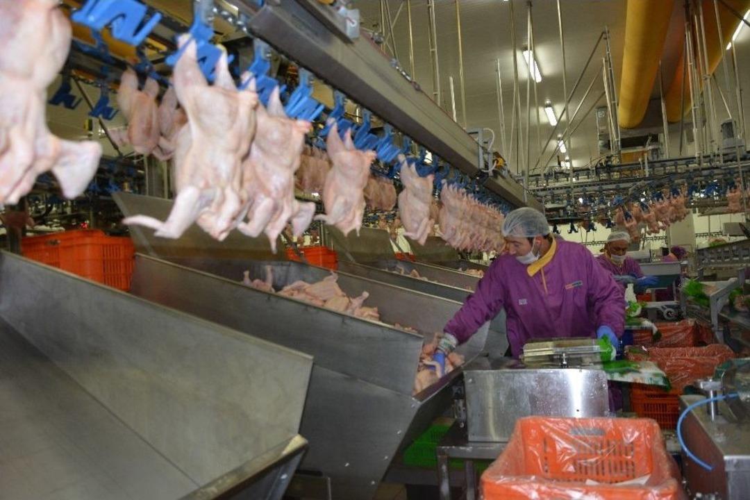 T&uuml;rk Tavuğunda Hedef Japonya&rsquo;dan Sonra &Ccedil;in