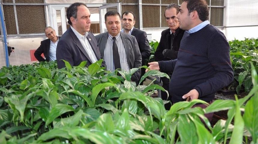 T&uuml;mer: &ldquo;yerli Tohum Desteklenmiyor&rdquo;