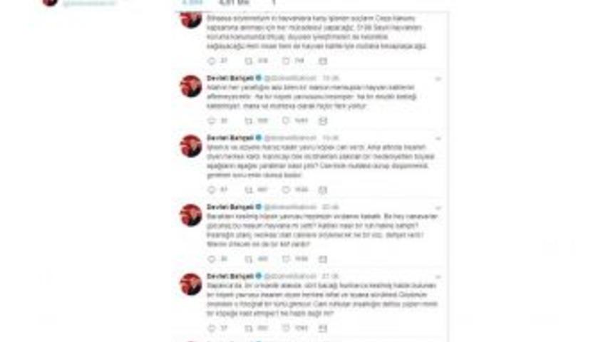 Bahçeli’den, Ayakları Ve Kuyruğu Kesilerek Öldürülen Yavru Köpekle İlgili Sert Tweet