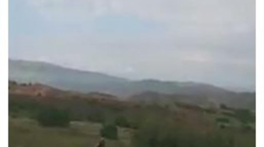 Kangal K&ouml;peği Ayıya Meydan Okudu