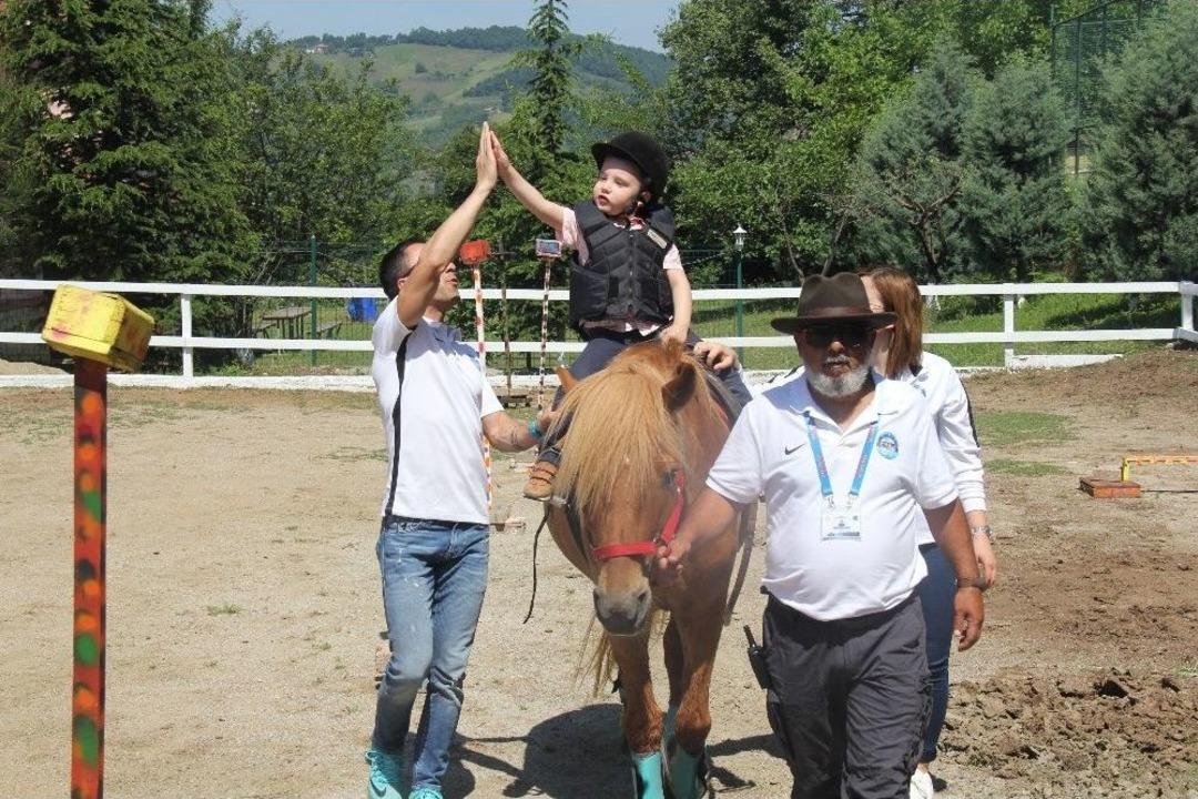 At Terapisiyle Hayata Tutundu