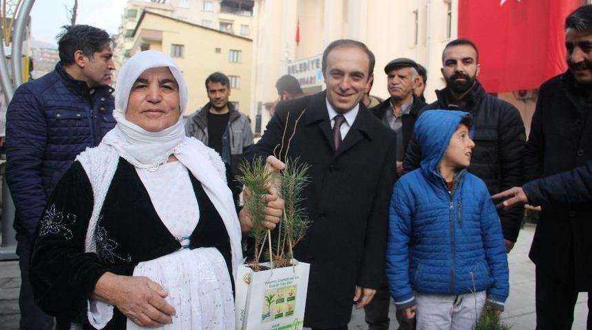 Hakkari&rsquo;de 12 Bin Adet Fidan Dağıtıldı