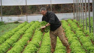 Türkiye’nin Kış Sebzeleri Isparta Sütçüler’den