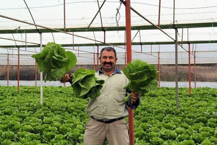 Türkiye’nin Kış Sebzeleri Isparta Sütçüler’den G3
