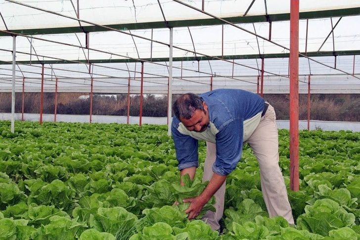 Türkiye’nin Kış Sebzeleri Isparta Sütçüler’den G5