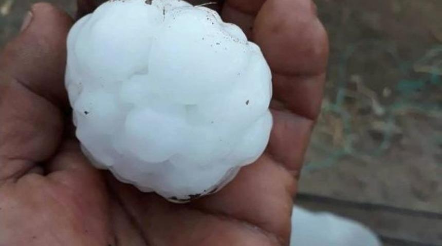 Demre&rsquo;de Yumurta B&uuml;y&uuml;kl&uuml;ğ&uuml;nde Dolu Hayatı Fel&ccedil; Etti