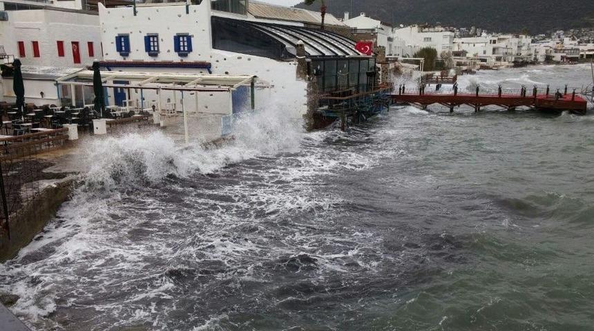 Bodrum&rsquo;da Lodos