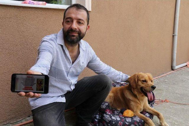 (özel) Sakarya’da Vahşet Zonguldak’ta Köpeğe Sevgi