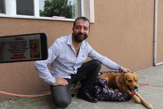 (özel) Sakarya’da Vahşet Zonguldak’ta Köpeğe Sevgi